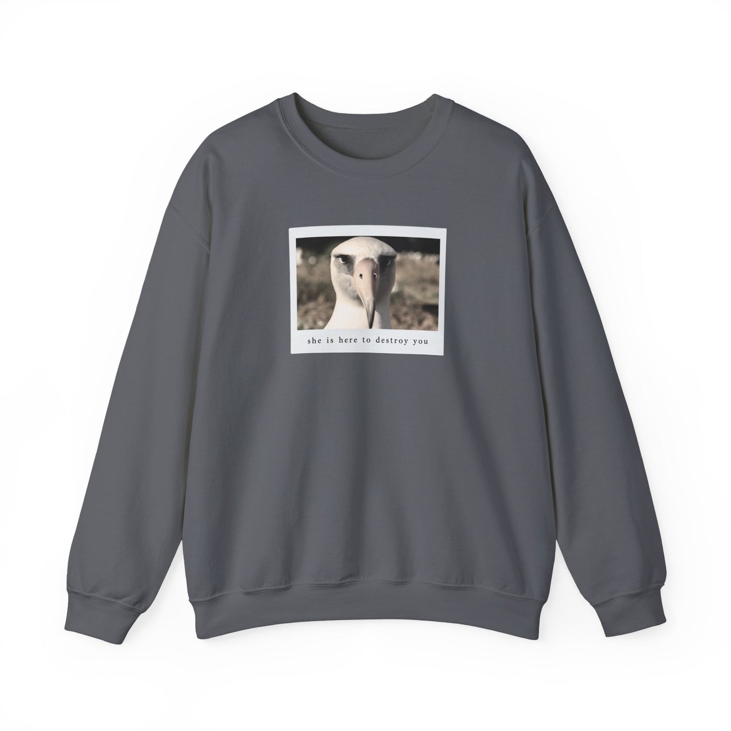 The Albatross Crewneck Sweatshirt