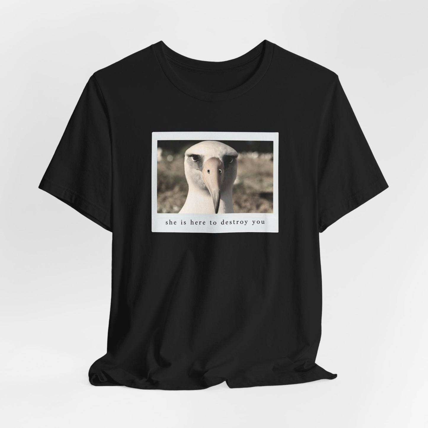 Albatross Tshirt