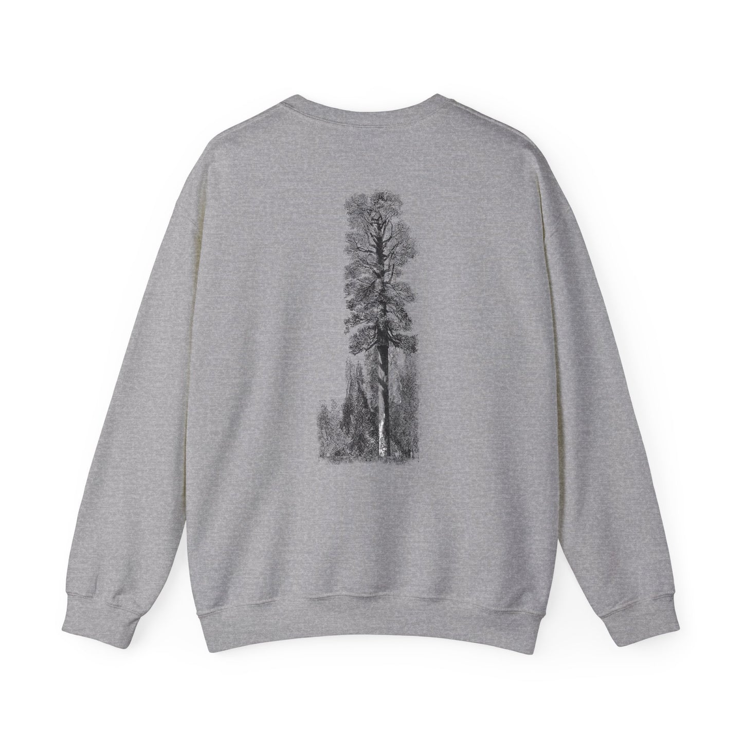 Redwood Tree Crewneck Sweatshirt
