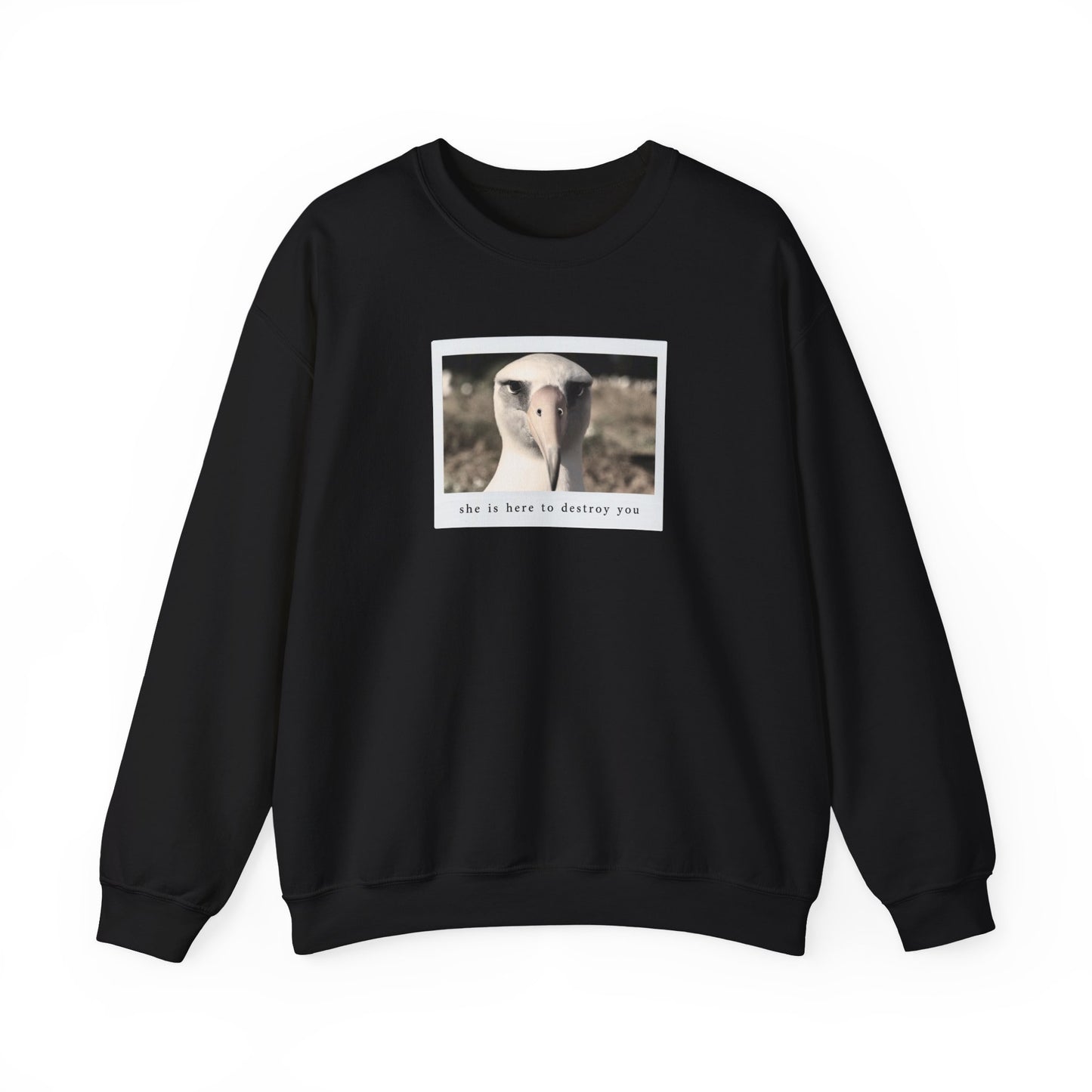 The Albatross Crewneck Sweatshirt