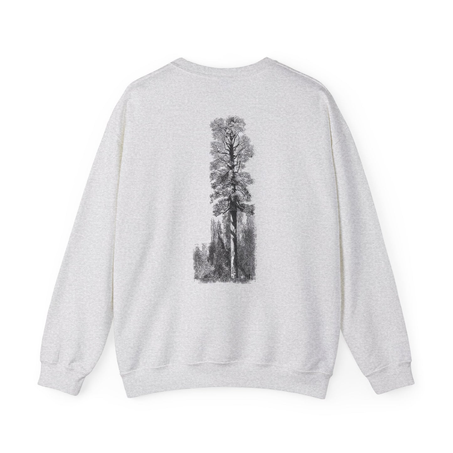 Redwood Tree Crewneck Sweatshirt