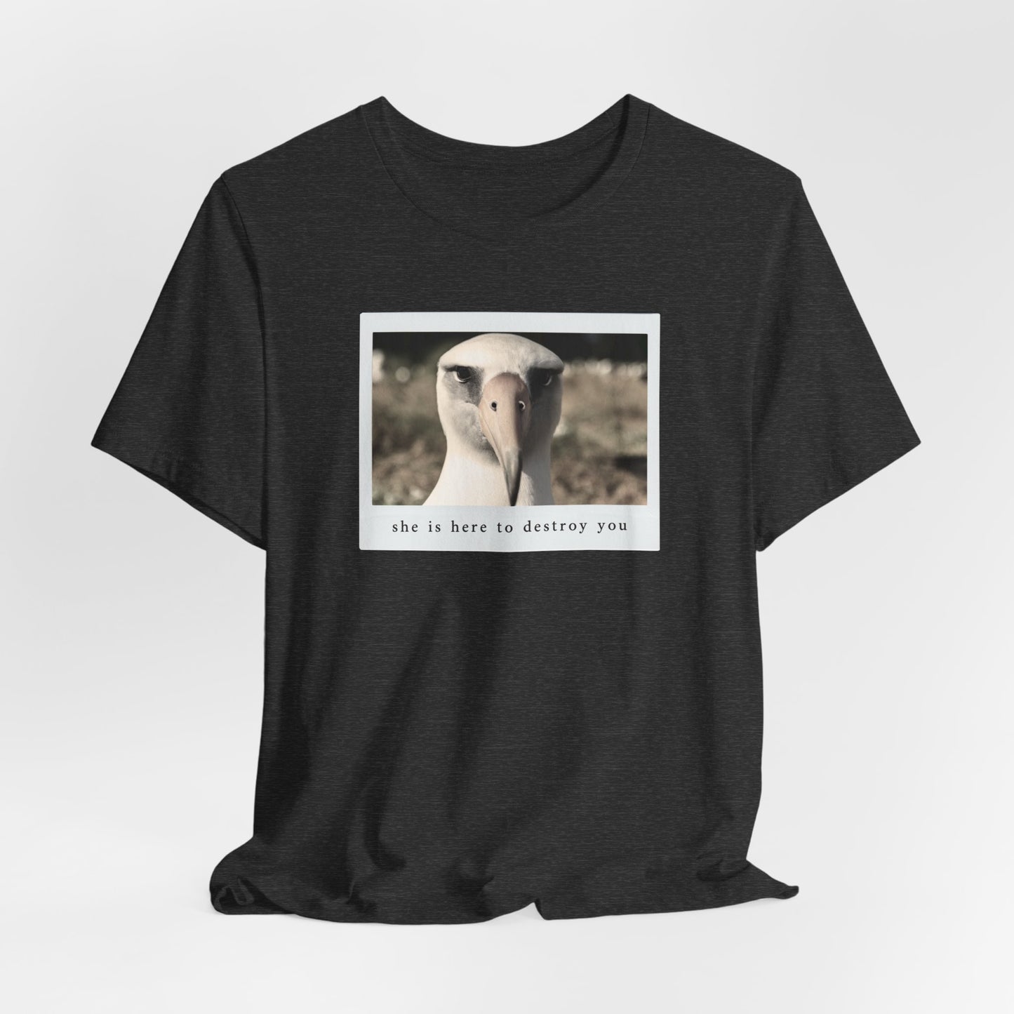 Albatross Tshirt