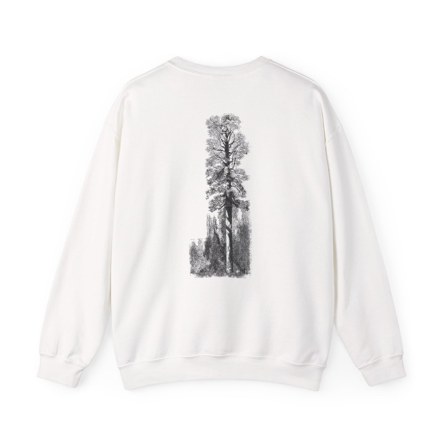 Redwood Tree Crewneck Sweatshirt