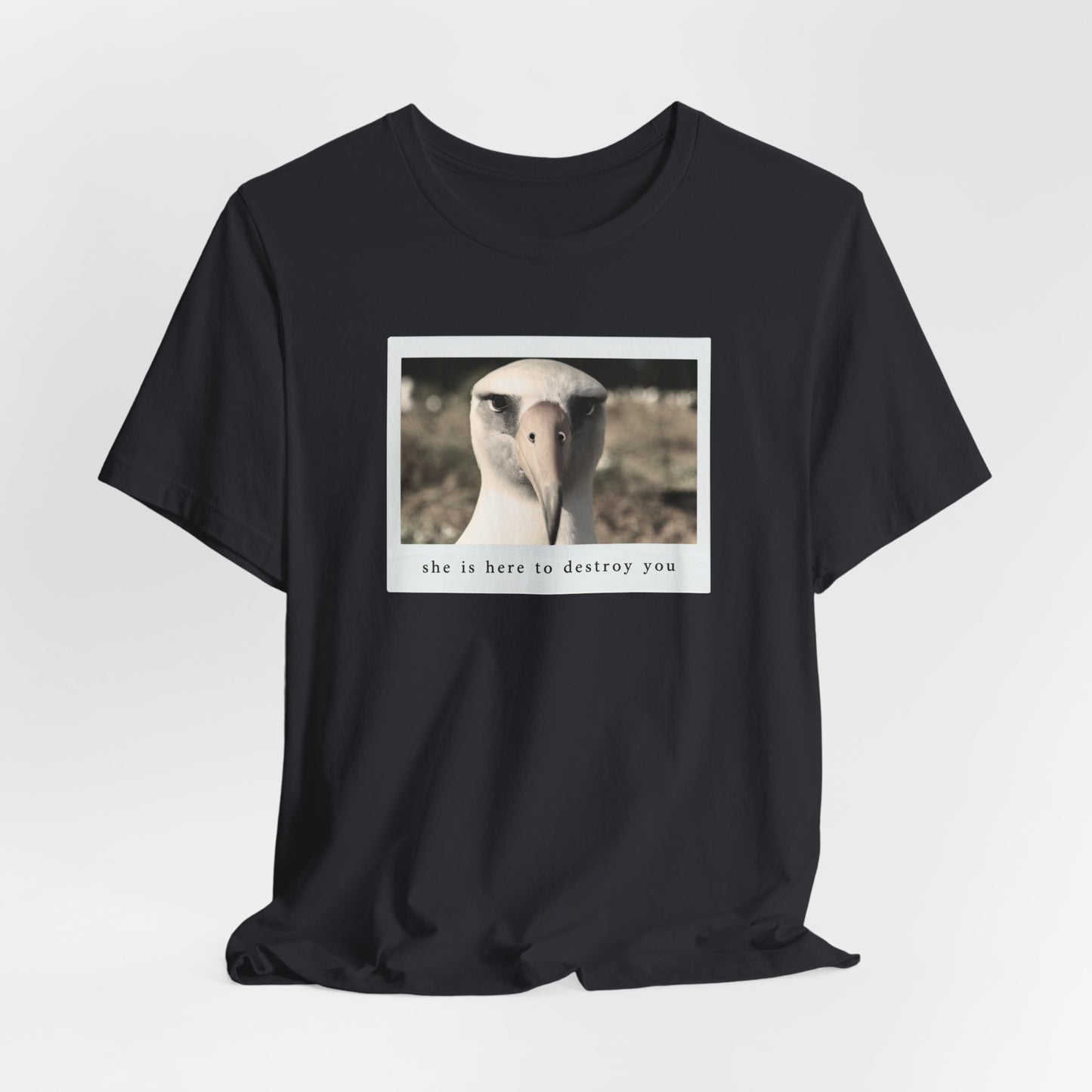 Albatross Tshirt