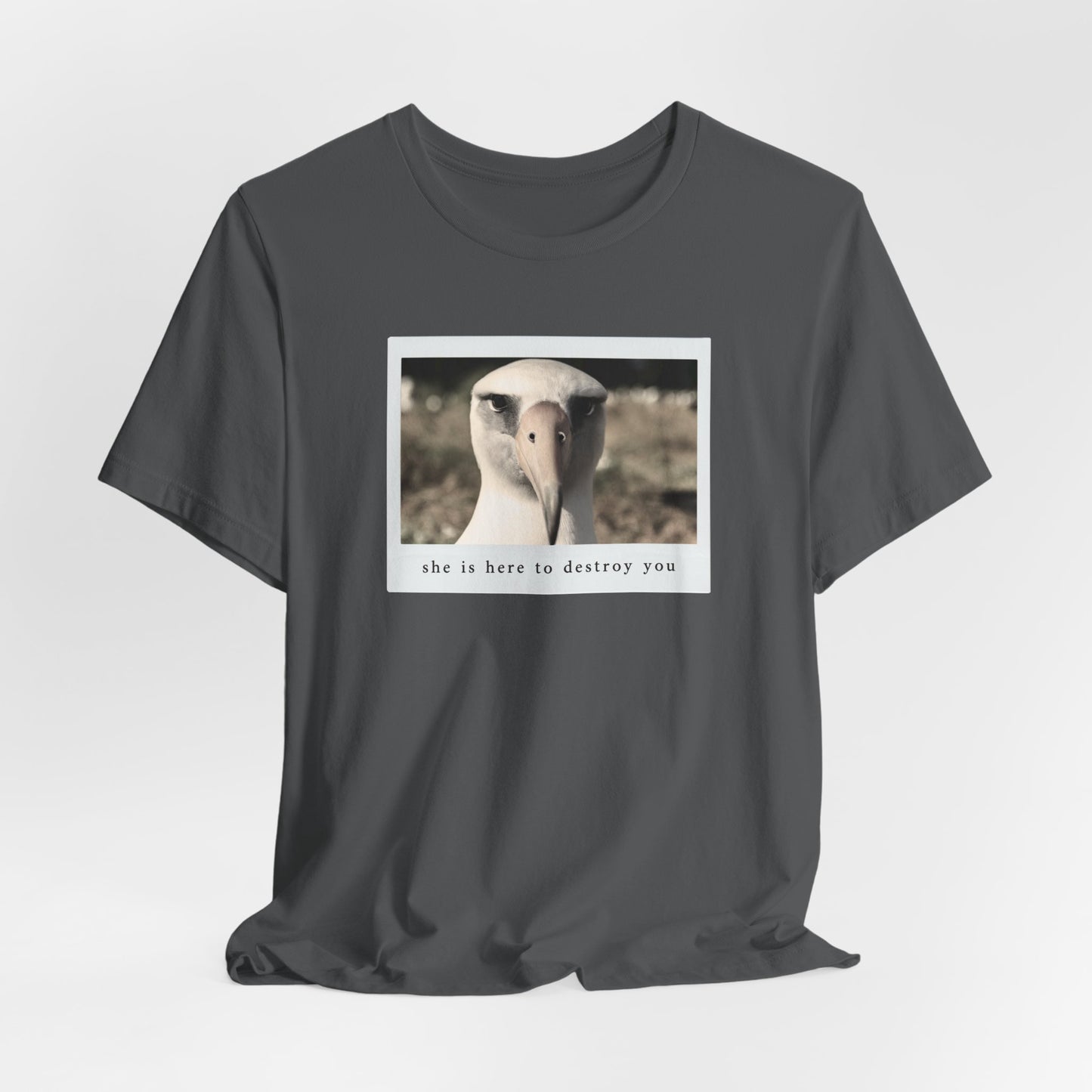 Albatross Tshirt
