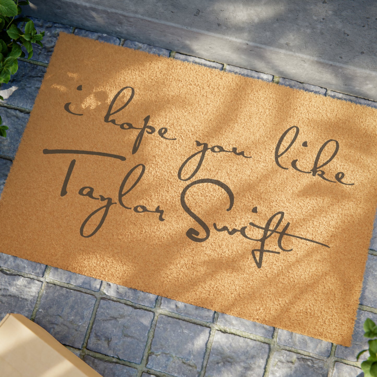 I Hope You Like Taylor Swift Doormat