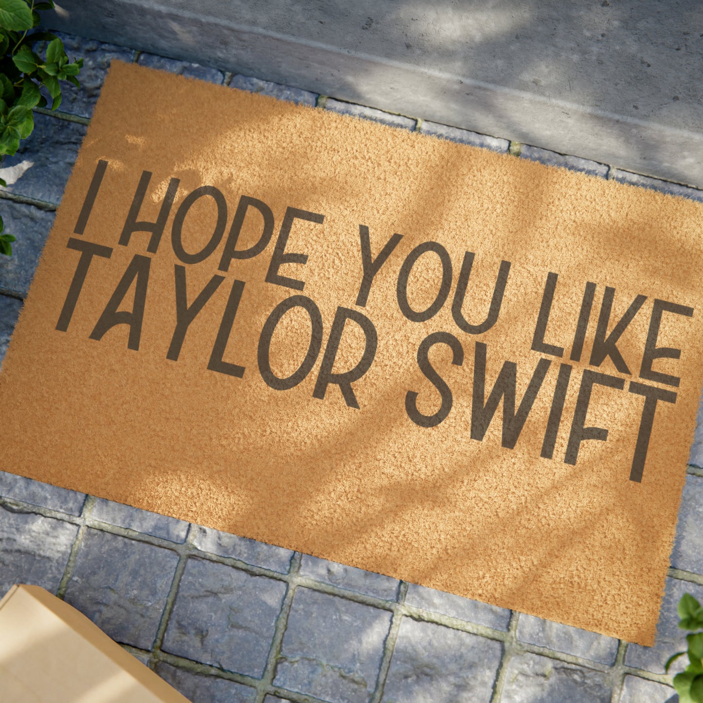 I Hope You Like Taylor Swift Doormat