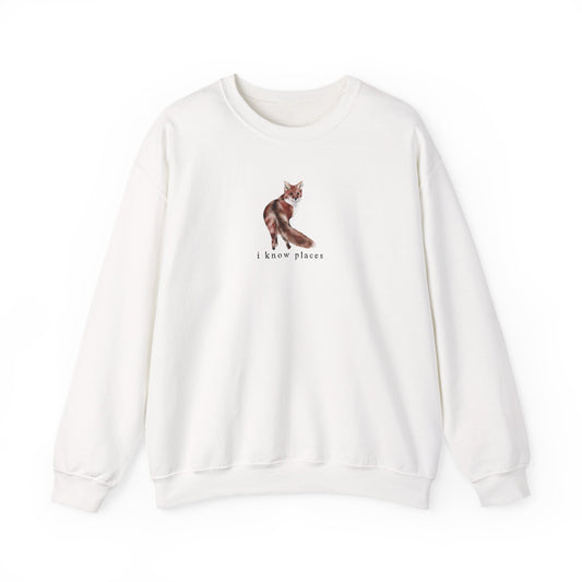 I know places fox sweater