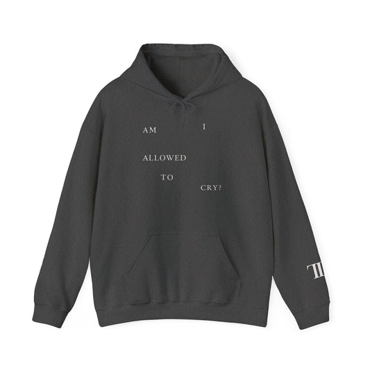 TTPD Am I Allowed To Cry? Hoodie