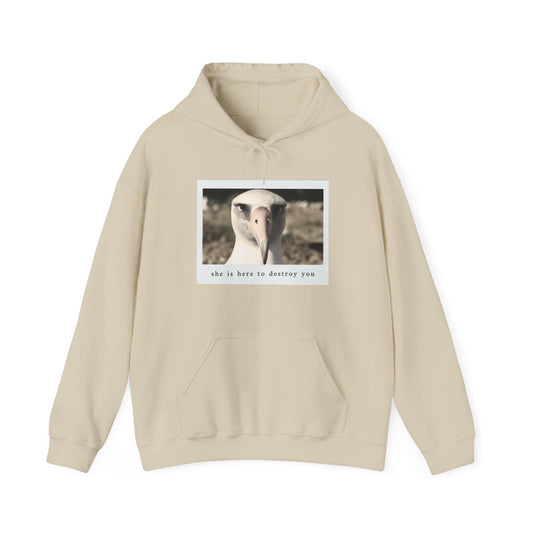 The Albatross Hoodie