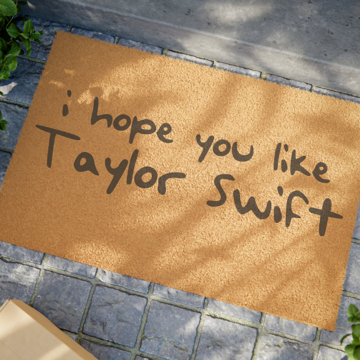 I Hope You Like Taylor Swift Doormat