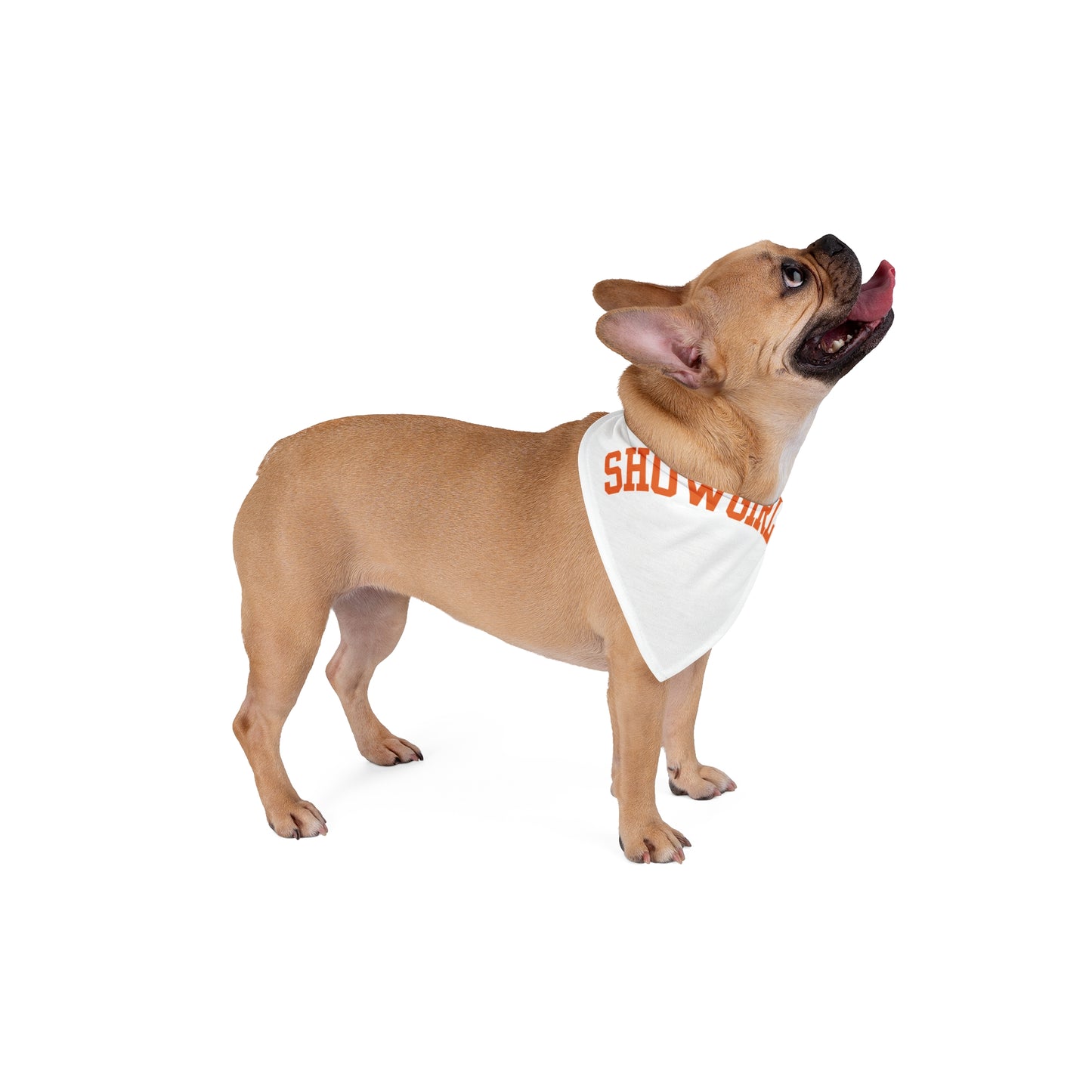 Showgirl Pet Bandana