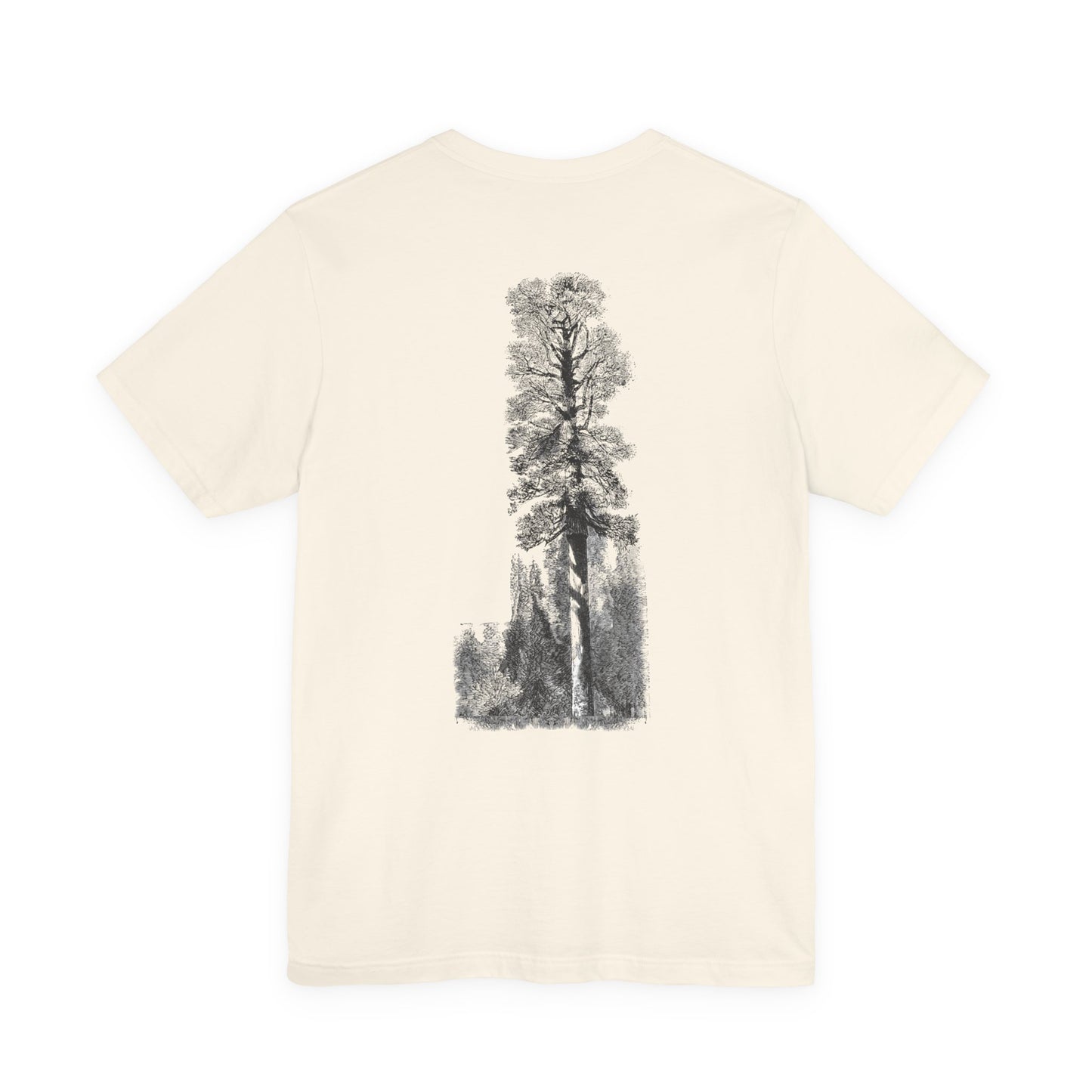 Redwood Tshirt