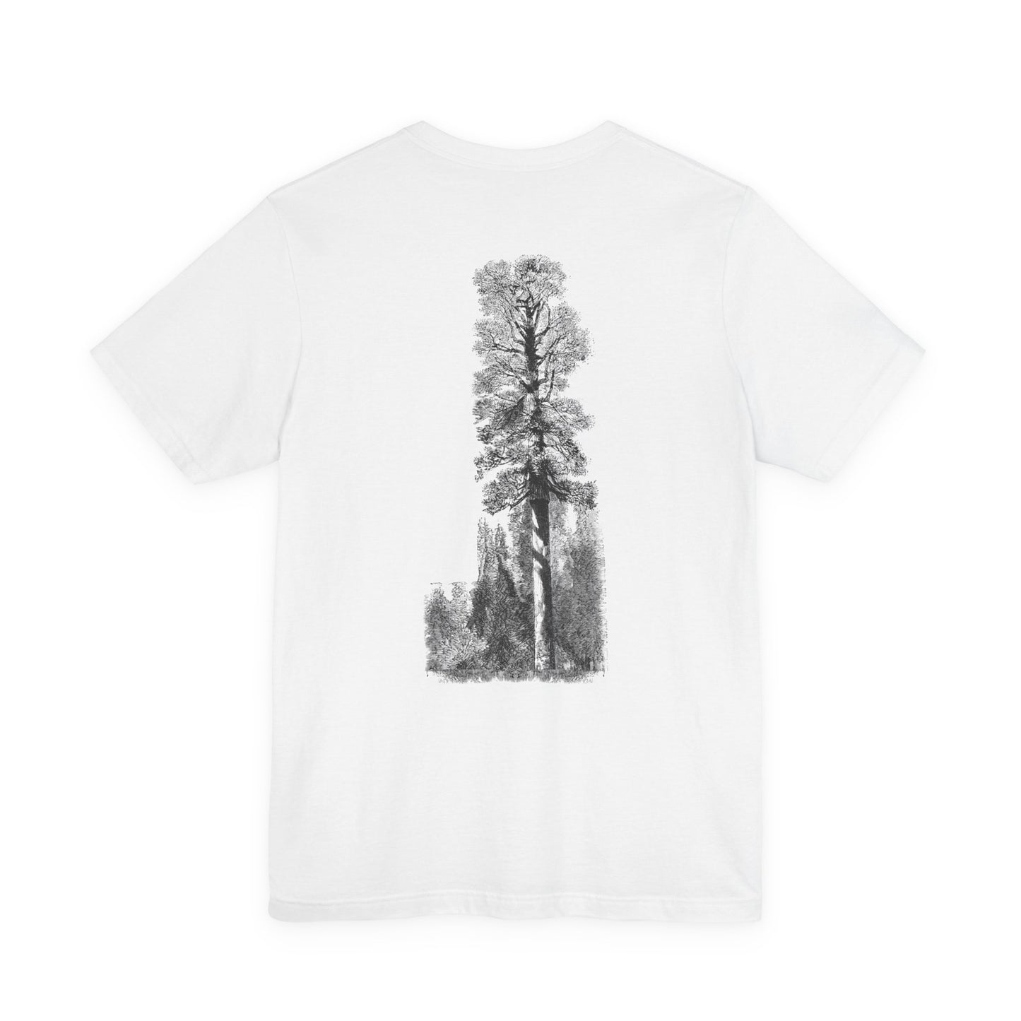 Redwood Tshirt