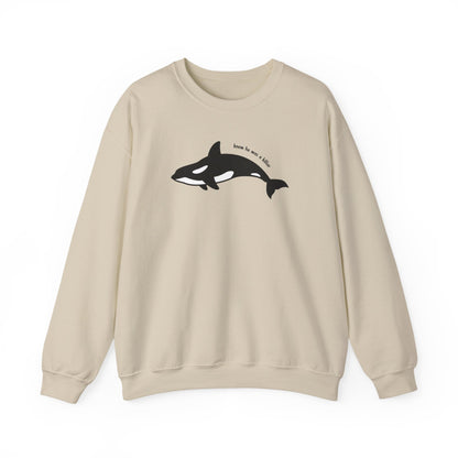Knew he was a Killer (Whale) Sweater