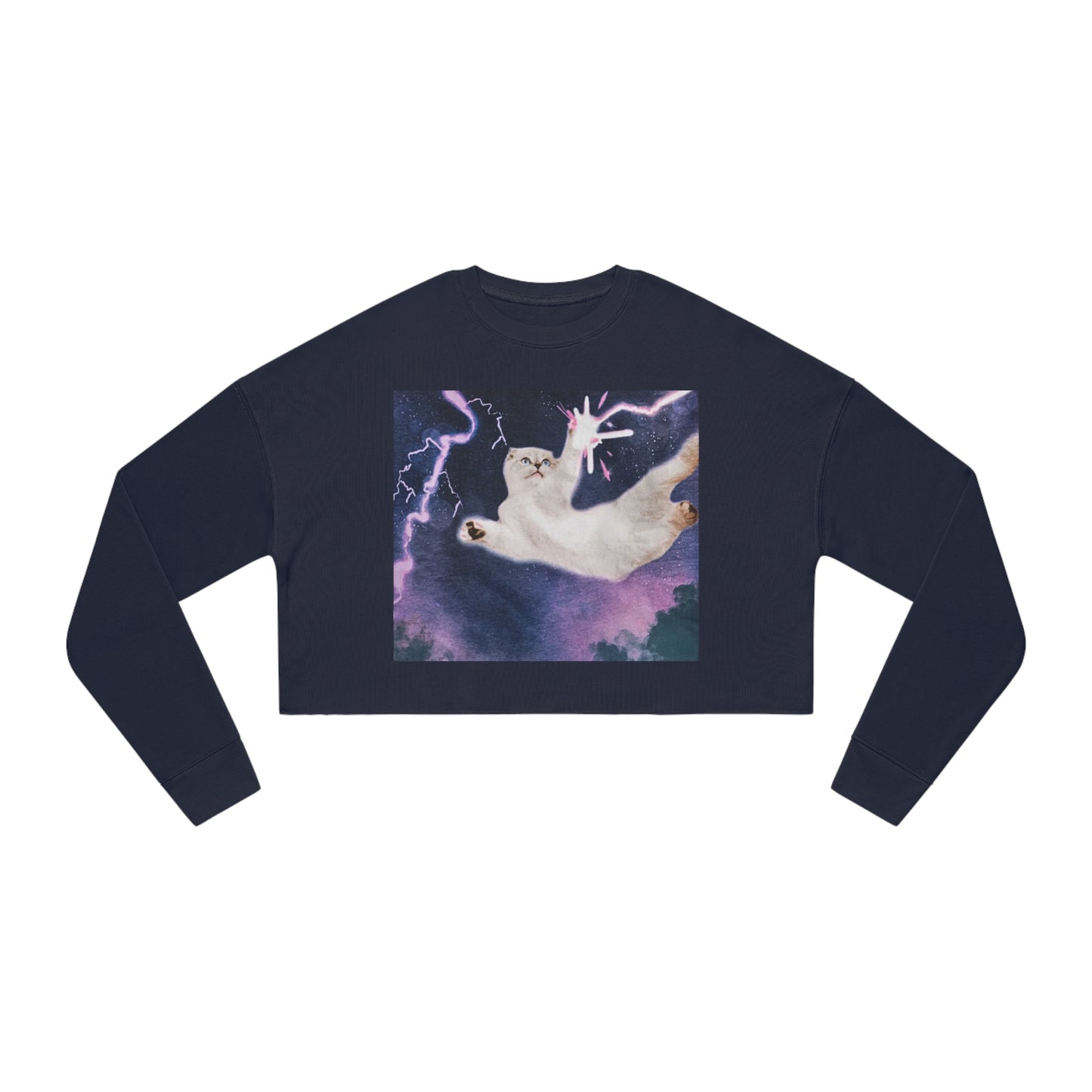 Cat Cropped Sweatshirt/ Swiftie Cat Sweater Cropped